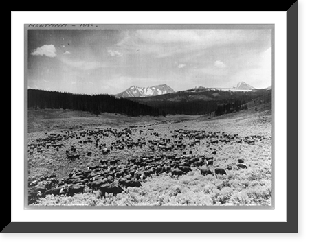 Nine Quarter Circle Ranch, Eldridge, Montana - 2, Vintage Poster