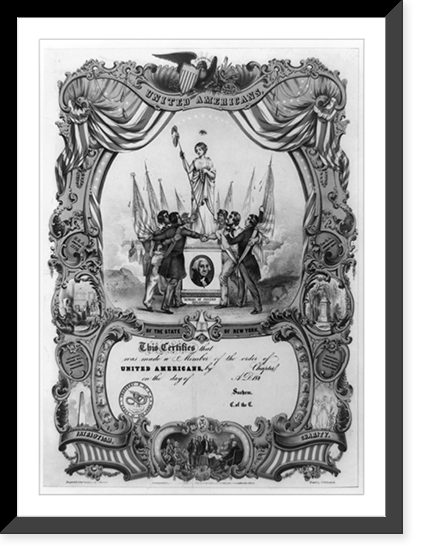 United Americans of the state of New York.designed & litho'd. in colors by Charles Parsons ; printed by G. & W. Endicott, Antique Wall Art