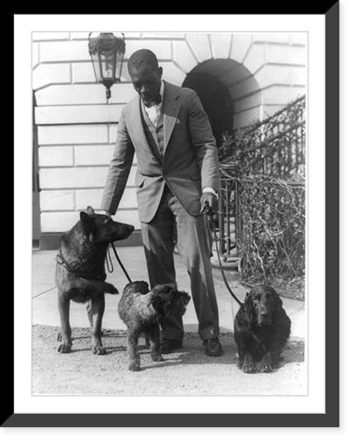 Historic Framed Print, [Robert R. Watson(?) or Robinson(?), kennel master at the White House, with pets of Herbert Hoover, King Tut, a Belgian police dog; Whoopie, a schnauzer; and Englehurst Gillette, a Gordon setter],  17-7/8" x 21-7/8"