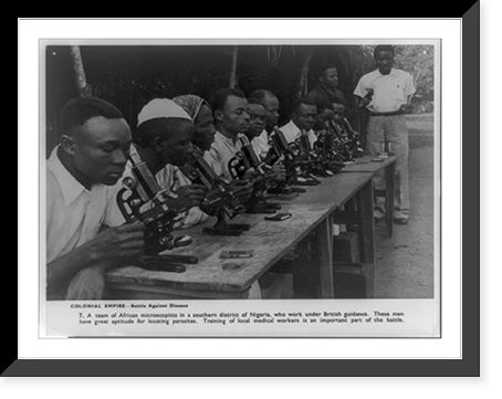 Colonial empire: A team of African microscopists in a southern district of Nigeria, who work under British guidance Classic, Vintage Print