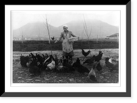 Albania: woman feeding chickens, Antique Poster