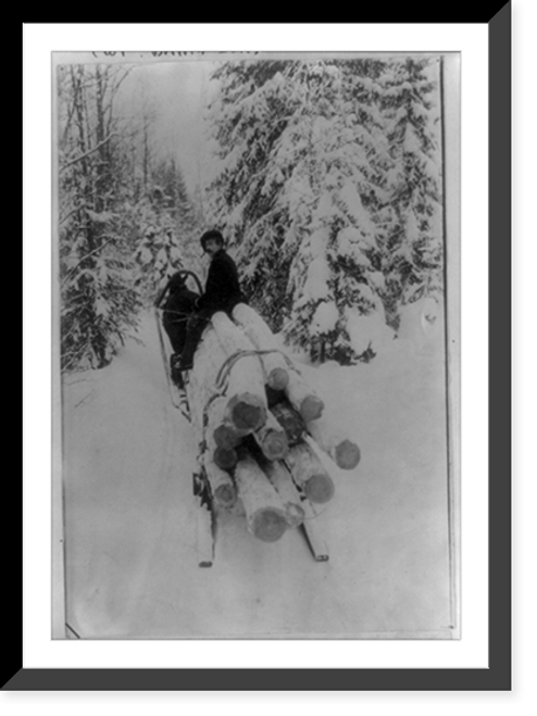 Historic Framed Print, [Man hauling spruce logs on horse-drawn sled, Finland],  17-7/8" x 21-7/8"