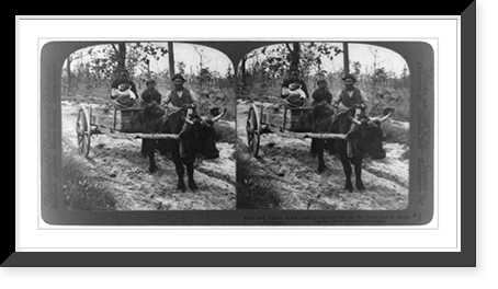 Historic Framed Print, Free and happy in his crude prosperity. life in the sand belt of North Carolina,  17-7/8" x 21-7/8"