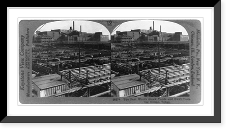The Fort Worth stock yards and Swift Packing House, Texas, Historic Reproduction