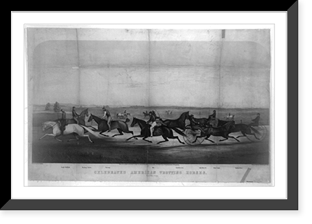 Celebrated American trotting horses.lith. W.H. Rease ; painted by R.A. Clarke, Vintage Print