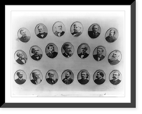 United States Senators, who attended the funeral of General Grant, and rode in close carriages, Antique Poster