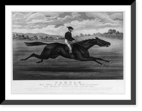 Historic Framed Print, Parole: brown gelding, by Imp. Leamington, dam Maiden by Lexington,  17-7/8" x 21-7/8"