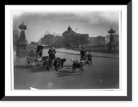 Small wagon, pulled by dog team, with advertisement poster: We pull for the Yukon Girl" with Library of Congress Jefferson Building in background", Antique Print