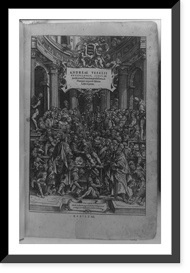Crowd watching dissection of female cadaver with skeleton at its head, Antique Wall Art