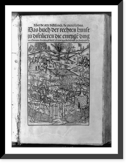 Garden with people and apparatus for distilling a plant's medicinal essences, Historic Reproduction