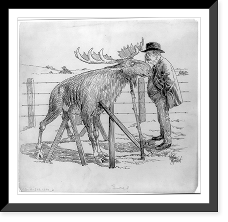 Cartoon showing Theodore Roosevelt looking at bull moose propped up with boards.McKee Barclay, Vintage Poster