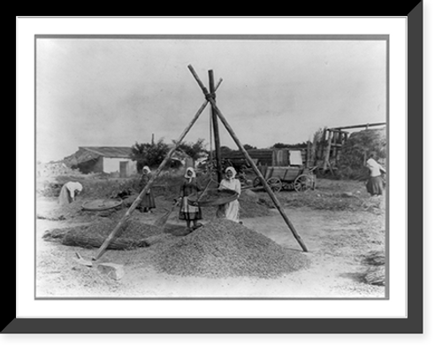 Historic Framed Print, Peasants at work, Russia.,  17-7/8" x 21-7/8"