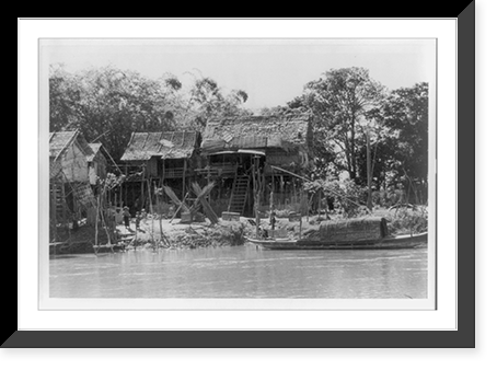Fisherman holding up fish and large crayfish(?) just taken from the trap on the Tonl&eacute; Sap in the basin of the lower Mekong River, Cambodia, Antique Print