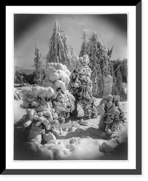 Historic Framed Print, [Snow-covered trees, Luna Island, Niagara Falls].Geo. Barker, Niagara Falls, N.Y.,  17-7/8" x 21-7/8"