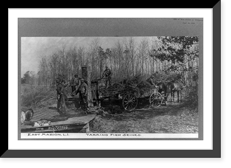 Tarring fish seines, East Marion, L.I, Vintage Wall Art