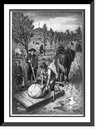 The First trees planted on Boston Common were set out between 1722 and 1729 lining Tremont Street as far as West Street, Antique Wall Art