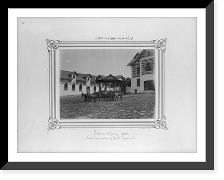 In the Ayazaga stable, the third section of the Imperial Stud Farm.Constantinople, Abdullah Fr&egrave;res, Vintage Print