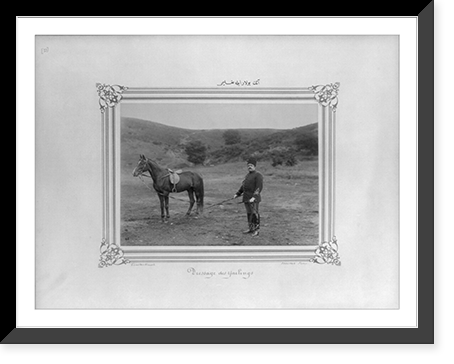 The drill of the horse with halter.Constantinople, Abdullah Fr&egrave;res, Vintage Wall Art