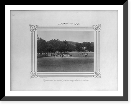 Historic Framed Print, [The mares of the first section separated from their foals].Constantinople, Abdullah Fr&egrave;res.,  17-7/8" x 21-7/8"