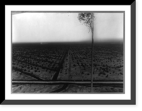 Rubber plantations in Sumatra: Bird's-eye view from Bukit Hantoe, Goerach Batoe Estate, Antique Wall Art