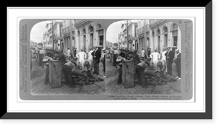 Packing crude rubber, Para, Brazil, center of Amazon river-system trade, Antique Wall Art