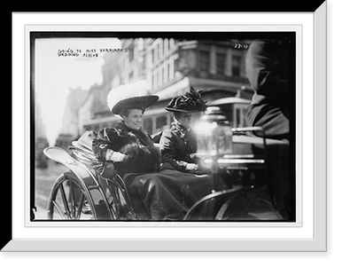 Identified women in carriage going to Harriman - Gerry wedding, Antique Poster