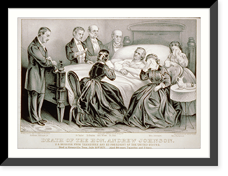 Death of the Hon. Andrew Johnson: U.S. Senator from Tennessee and Ex-President of the United States - 2, Antique Poster
