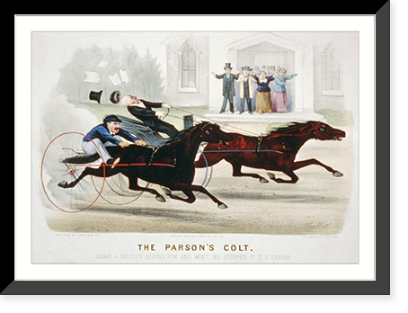 Black & White Photo - The Parson's colt - Vintage Wall Art Gift
