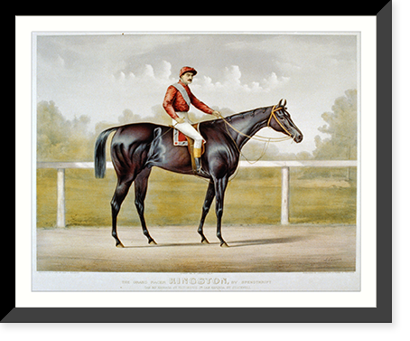 Grand racer Kingston, by Spendthrift: dam imp. Kapanga, by Victorious, 2nd dam Kapunda, by Stockwell Classic, Historic Print