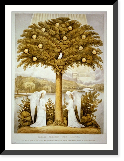 Antique Scenic Print - The tree of life - Antique Wall Decor Print