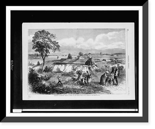 Historic Framed Print, Harvest on historic fields. a scene at the South.drawn by W.L. Sheppard.,  17-7/8" x 21-7/8"