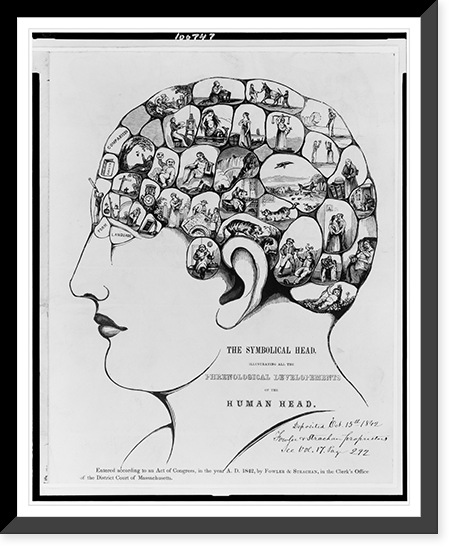 The Symbolical head, illustrating all the phrenological developements of the human head Classic, Historic Reproduction