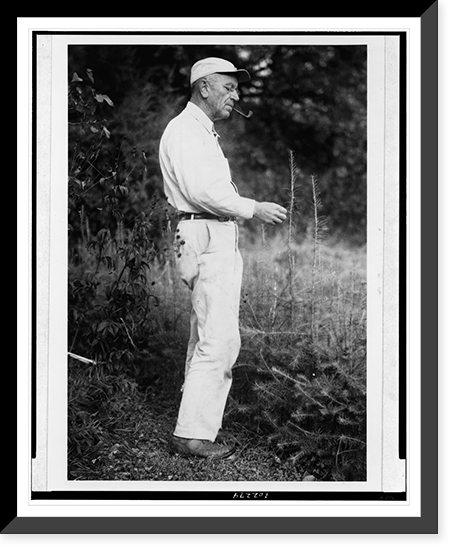 Aldo Leopold examining tamarack, presumably at his Sauk County, Wisconsin retreat Classic, Antique Poster