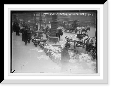 Easter flowers for sale in Union Square, New York, Vintage Wall Art