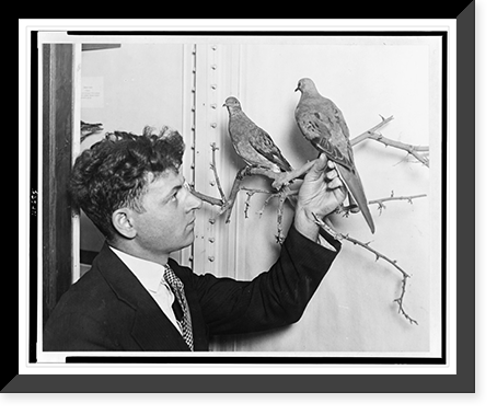 Black & White Photo - Chicago - Earl Wright, of the Academy