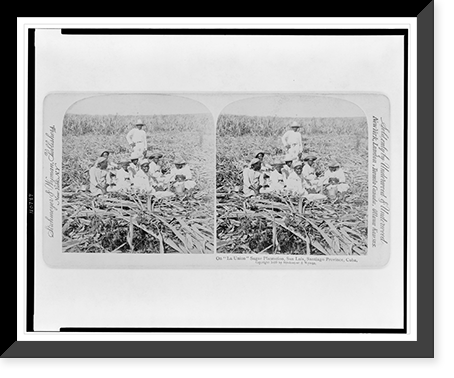 Historic Framed Print, On La Union" sugar plantation,  San Luis,  Santiago Province,  Cuba",  17-7/8" x 21-7/8"