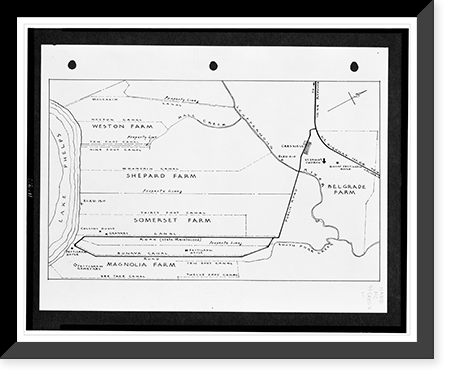 Plat map of Somerset Place (the Josiah Collins house), near Cresswell, North Carolina, Antique Poster