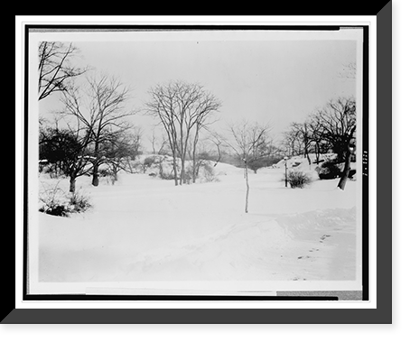 First snow of the season in Central Park, New York City Classic, Vintage Wall Art