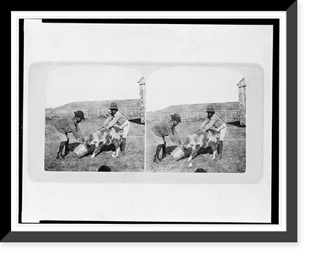 Historic Framed Print, Git on quick Rastus,  -he done got it mos' eat up"",  17-7/8" x 21-7/8"