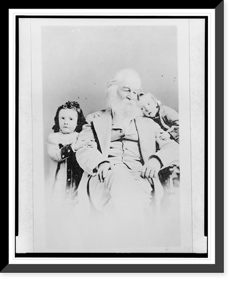Vintage Portrait - Walt Whitman, three-quarter length portrait, seated