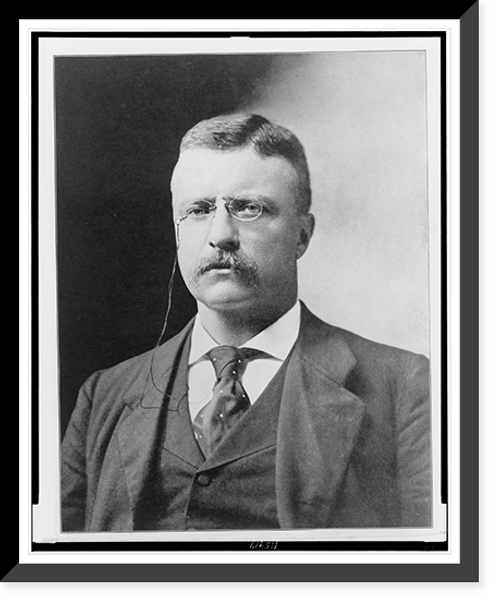 Historic Framed Print, [Theodore Roosevelt, head-and-shoulders portrait, facing front] - 2,  17-7/8" x 21-7/8"