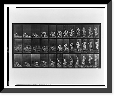 Historic Framed Print, Animal locomotion - 48,  17-7/8" x 21-7/8"