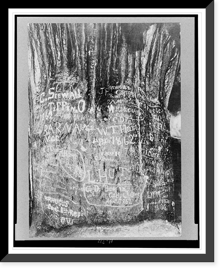 Virginia. Harrisonburg. Blue Grotto. Inscriptions made by visitors, Historic Print