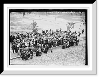 Planting of trees, Arbor Day, N.Y. Public Schools, New York, Vintage Wall Art