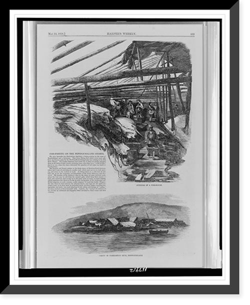 Historic Framed Print, Cod-fishing on the Newfoundland shores,  17-7/8" x 21-7/8"