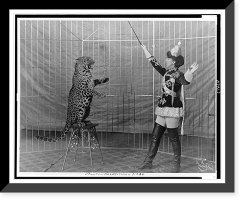 Historic Framed Print, Vallecita's leopards,  17-7/8" x 21-7/8"