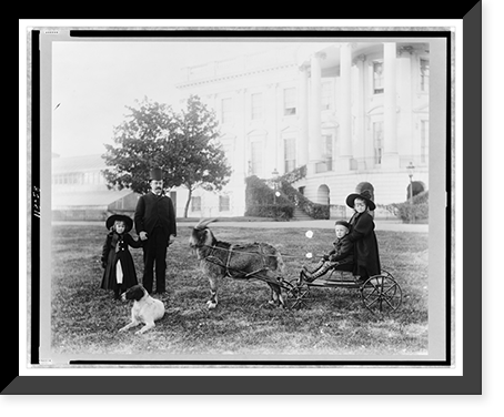 White House. Major Russell Harrison and Harrison children. Baby McKee and sister on goat cart, Antique Print