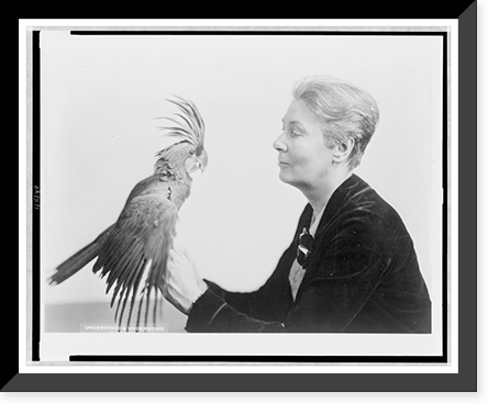 Winsome Washington woman has rare parrot for pet.Underwood & Underwood, Washington, Historic Print