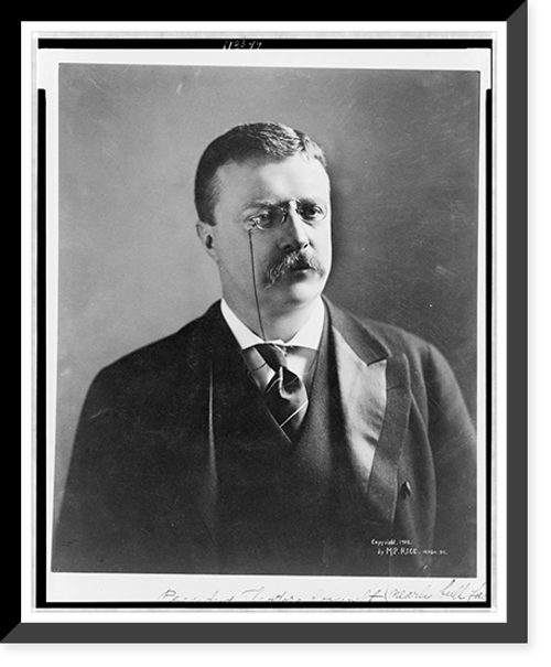 Historic Framed Print, [Theodore Roosevelt, head-and-shoulders portrait, facing right],  17-7/8" x 21-7/8"