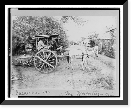 Mr. Calderon & Mr. Worcester in Caramatta(?), Antique Poster